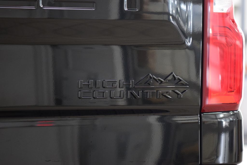 2025 Chevrolet Silverado 1500 — photo 19